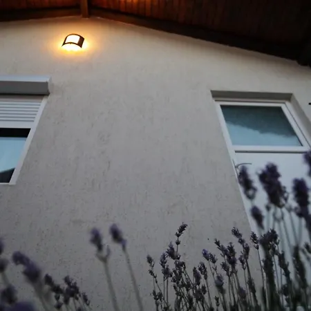 Case de vacanță La Casute Tasaul *